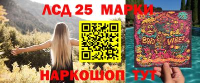 прущие грибы Лесосибирск