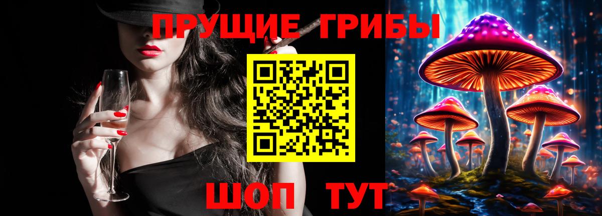 Псилоцибиновые грибы GOLDEN TEACHER  Псилоцибиновые грибы Cubensis  Бор  Вход с VPN 